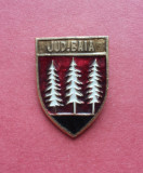 Stema judetului istoric BAIA - insigna Romania regalista, heraldica Moldova, Romania 1900 - 1950