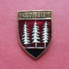 Stema judetului istoric BAIA - insigna Romania regalista, heraldica Moldova