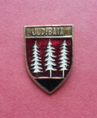 Stema judetului istoric BAIA - insigna Romania regalista, heraldica Moldova foto