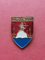 Stema orasului istoric BALTI - insigna Romania regalista, heraldica Basarabia foto