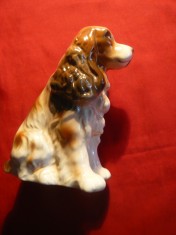 Bibelou - portelan - Catel - Cocker Spaniol , h= 12,5 cm