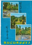 CPI (B8521) CARTE POSTALA - BUCURESTI. GRADINA CISMIGIU, Circulata, Fotografie