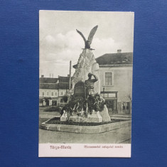 Targu Mures - Monumentul Ostasului Roman foto