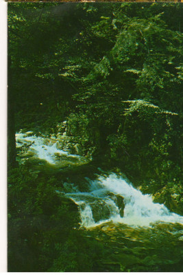 CPI (B8587) CARTE POSTALA - SLANIC MOLDOVA. CASCADA SLANICULUI foto