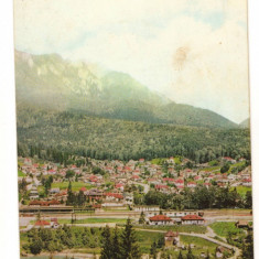 CPI (B8576) CARTE POSTALA - BUSTENI, VEDERE SPRE BUCEGI, RPR