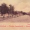 Carte postala CP AB020 Sebes - Zona centrala. Interbelica (editata 2012)