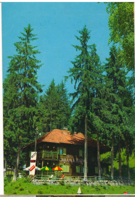 CPI (B8543) CARTE POSTALA - CABANA HOMOROD foto