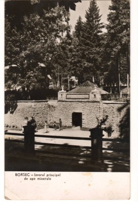 CPI (B8577) CARTE POSTALA - BORSEC. IZVORUL PRINCIPAL DE APE MINERALE foto