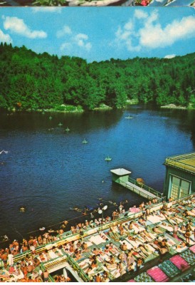 CPI (B8549) CARTE POSTALA - SOVATA. LACUL URSU foto
