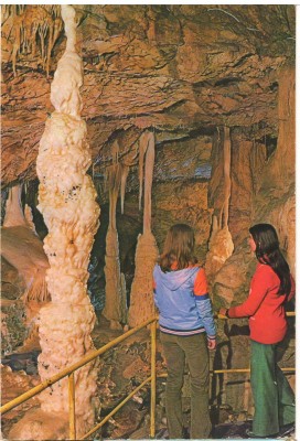 CPI (B8560) CARTE POSTALA - PESTERA URSILOR (CHISCAU), BIHOR foto