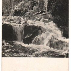 CPI (B8589) CARTE POSTALA - SLANIC MOLDOVA. CASCADA, RPR