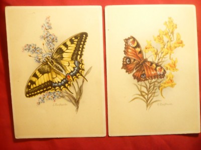 Set 2 Ilustrate vechi - Fluturi , semnate Mansharde foto