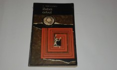 V.VOICULESCU - ZAHEI ORBUL foto