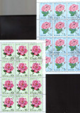 Korea de Nord - Flori 1979 - Trandafiri - 6 Blocuri stamp.,12 serii 3/scan, Flora, Stampilat