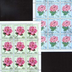 Korea de Nord - Flori 1979 - Trandafiri - 6 Blocuri stamp.,12 serii 3/scan