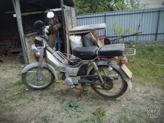 Motocicleta Leopard foto