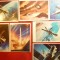 Set 9 Ilustrate Cosmos 1980