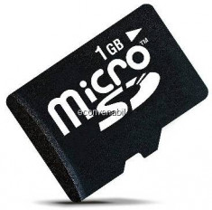 Card Memorie MicroSD 1Gb foto