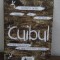 Cuibul - Kenneth Oppel