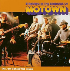 OST - Standing In the.. -Ltd- ( 1 CD ) foto
