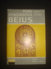 IOAN GODEA - ZONA ETNOGRAFICA BEIUS foto