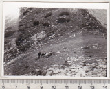 Bnk foto - Spre Varful Mare, Alb-Negru, Romania de la 1950, Natura