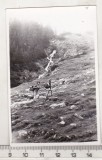 Bnk foto - Valea Raului Barbat sub Coasta Custurii, Alb-Negru, Romania de la 1950, Natura