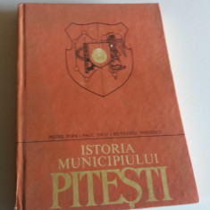 PETRE POPA - ISTORIA MUNICIPIULUI PITESTI