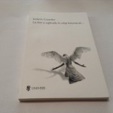 Jostein Gaarder - Ca intr-o oglinda , in chip intunecat,RF10/3