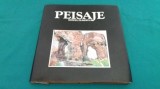 PEISAJE /MARCEL OLINESCU /1983*59