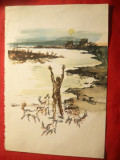 Grafica - Om inconjurat de caini , dim. 14 x 20,5 cm , nesemnata ,imprimat, Animale, Pastel, Altul