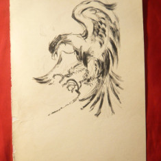 Grafica - Vultur , dim. 14 x 20,5 cm , nesemnata ,imprimat