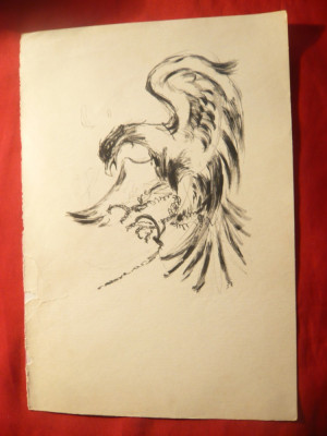 Grafica - Vultur , dim. 14 x 20,5 cm , nesemnata ,imprimat foto