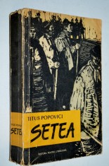 Setea - Titus Popovici