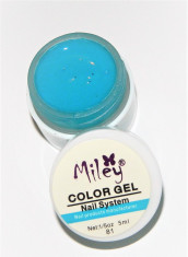 GEL UV COLOR MILEY 5 GR. NR.81 foto