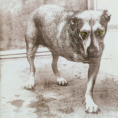 Alice In Chains Alice In Chains (cd) foto