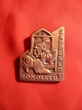 Insigna Expozitiei-Targ suedez Sapperlot - in Honolulu 2009 , bronz ,h= 4,5 cm