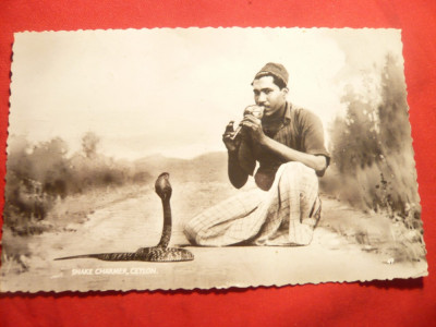 Ilustrata - Fotografie - Bastinas cu sarpe in Ceylon , circulat 1963 foto