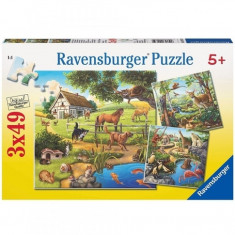 Puzzle Padure, Zoo si animale domestice, 3x49 piese Ravensburger foto