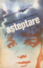 ASTEPTARE - Elena Gronov-Marinescu foto