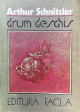 Drum Deschis - Arthur Schnitzler