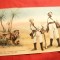 Ilustrata comica - Vanatori si Leu in Africa , inc.sec.XX
