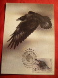 Maxima -Fauna - Vultur 1990 URSS