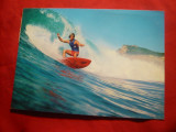 Ilustrata - Sport - Surfing in Australia , circulat , Par Avion 1981, Circulata, Printata