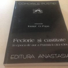 FECIORIE SI CASTITATE IN EPOCA DE AUR A PATRISTICII 313-430. Comorile Pustiei-41