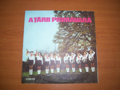 A TARII PRIMAVARA disc mediu RAR vinil LP vinyl pickup pick-up foto