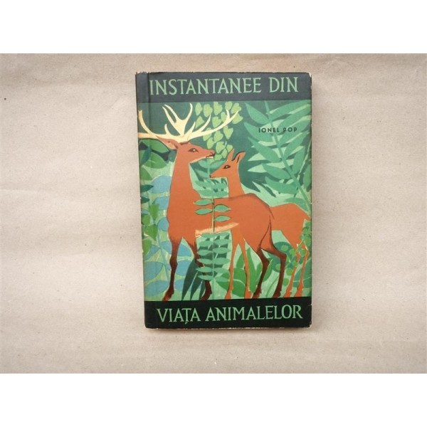 Instantanee din viata animalelor , Ionel Pop , 1964 foto mare Instantanee din viata animalelor , Ionel Pop , 1964 foto mare