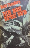 DIN NOU SPRE SUD - Radu Theodoru