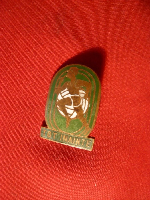 Insigna de Pionier RPR - Pionier Sportiv , metal si email , h= 2,3 cm