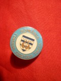 Insigna Consiliului Judetean Tulcea , d=2 cm